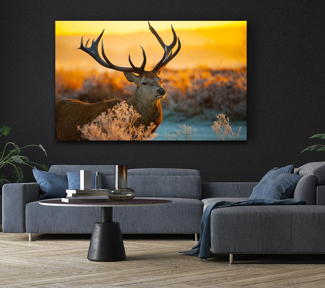 Picture of Crisp winters stag Canvas Print Wall Art