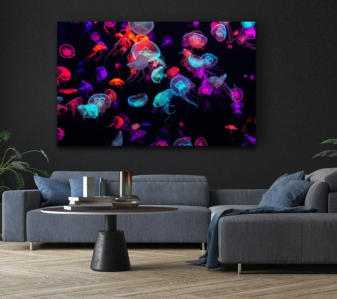 Picture of Neon Jellyfish frenzy Canvas Print Wall Art