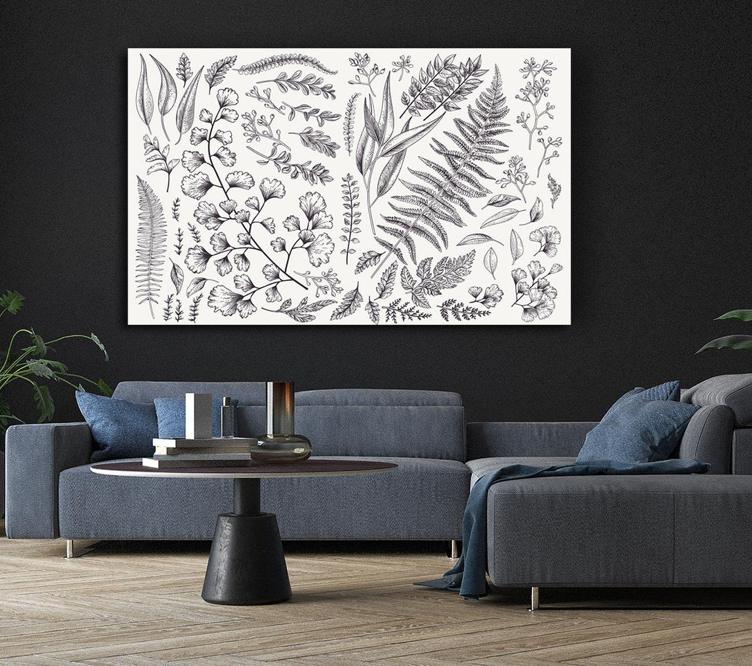 Picture of Natures Leaves Hand Drawn Canvas Print Wall Art