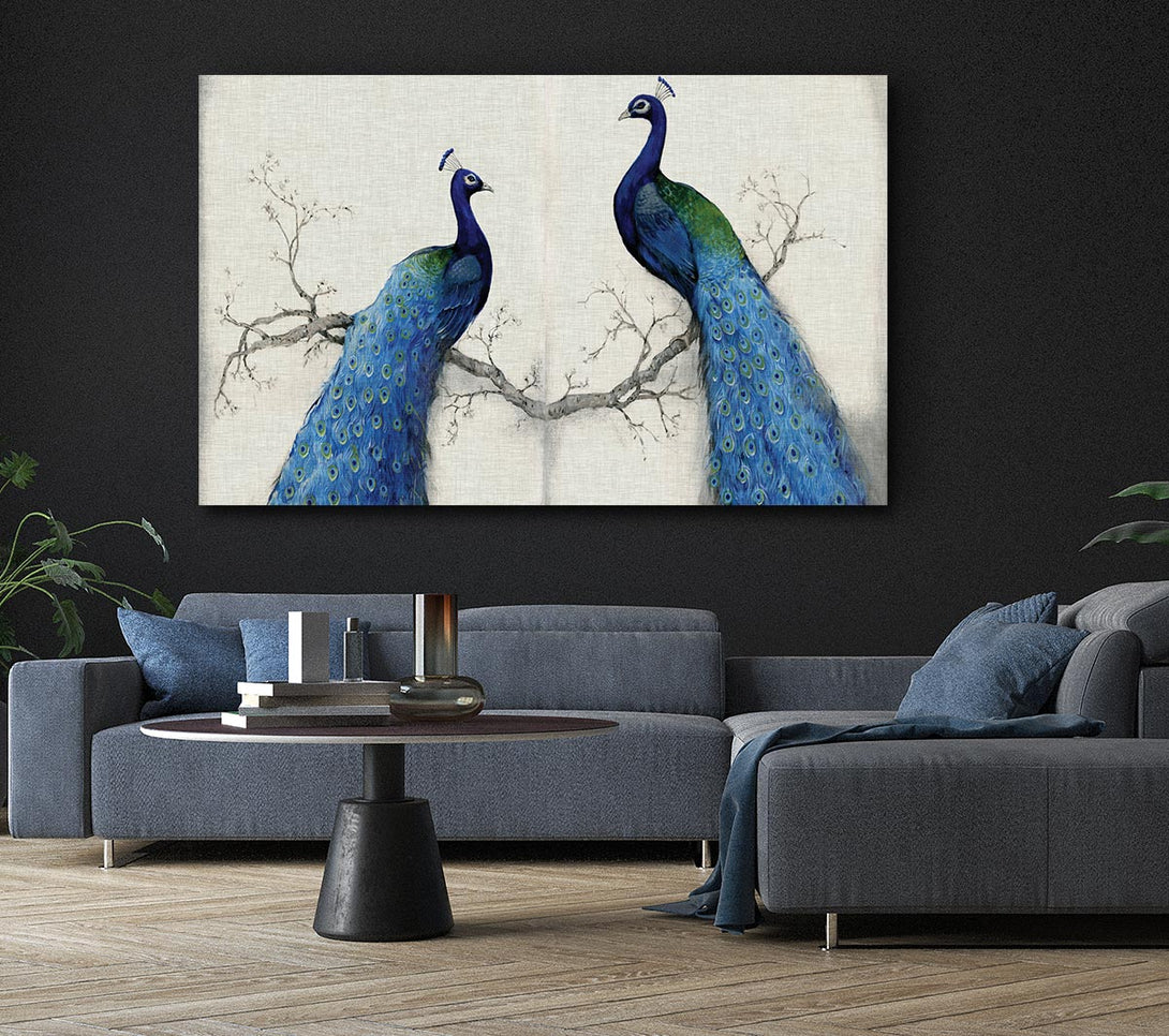 Picture of The Peacock Duo Canvas Print Wall Art