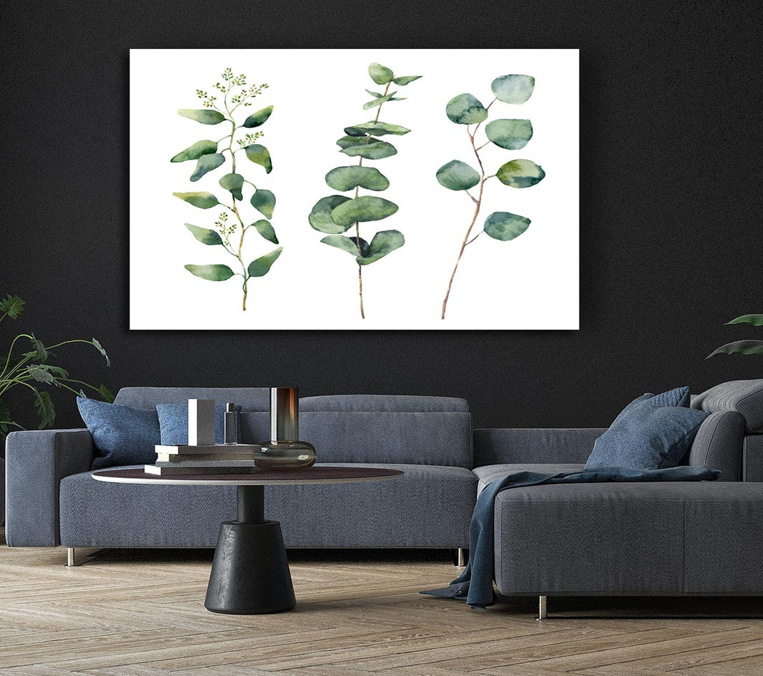 Picture of Three Green Foliage Stems Canvas Print Wall Art