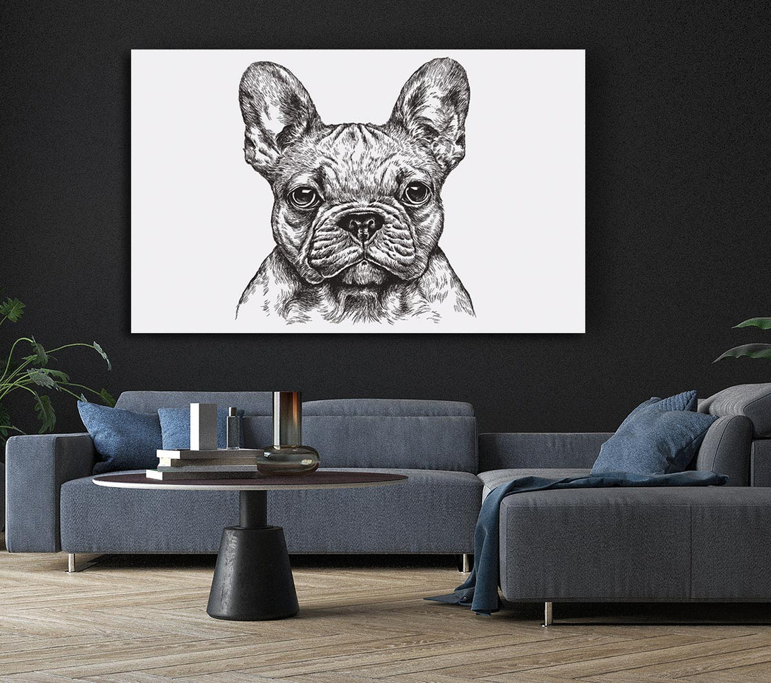 Picture of French Bulldog Sketch Canvas Print Wall Art