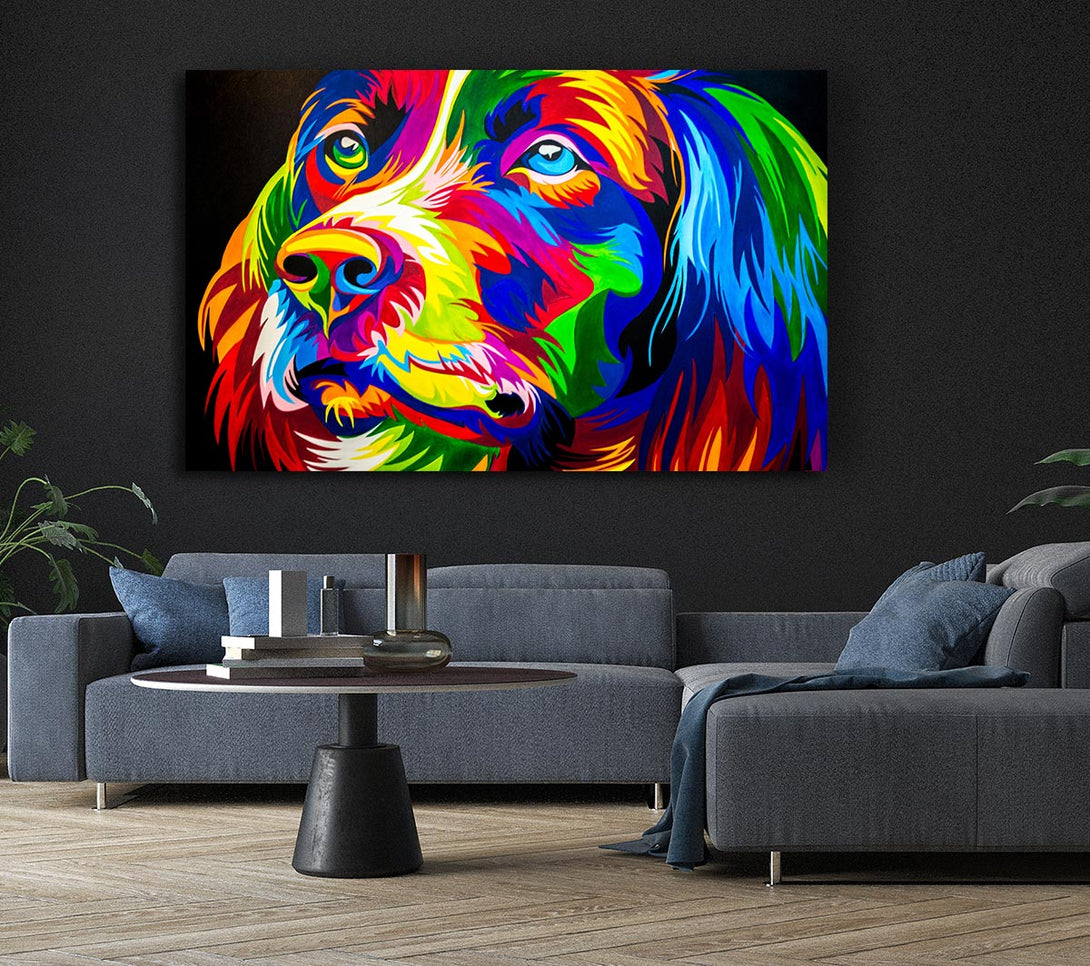 Picture of The Stunning Colourful Dog Canvas Print Wall Art