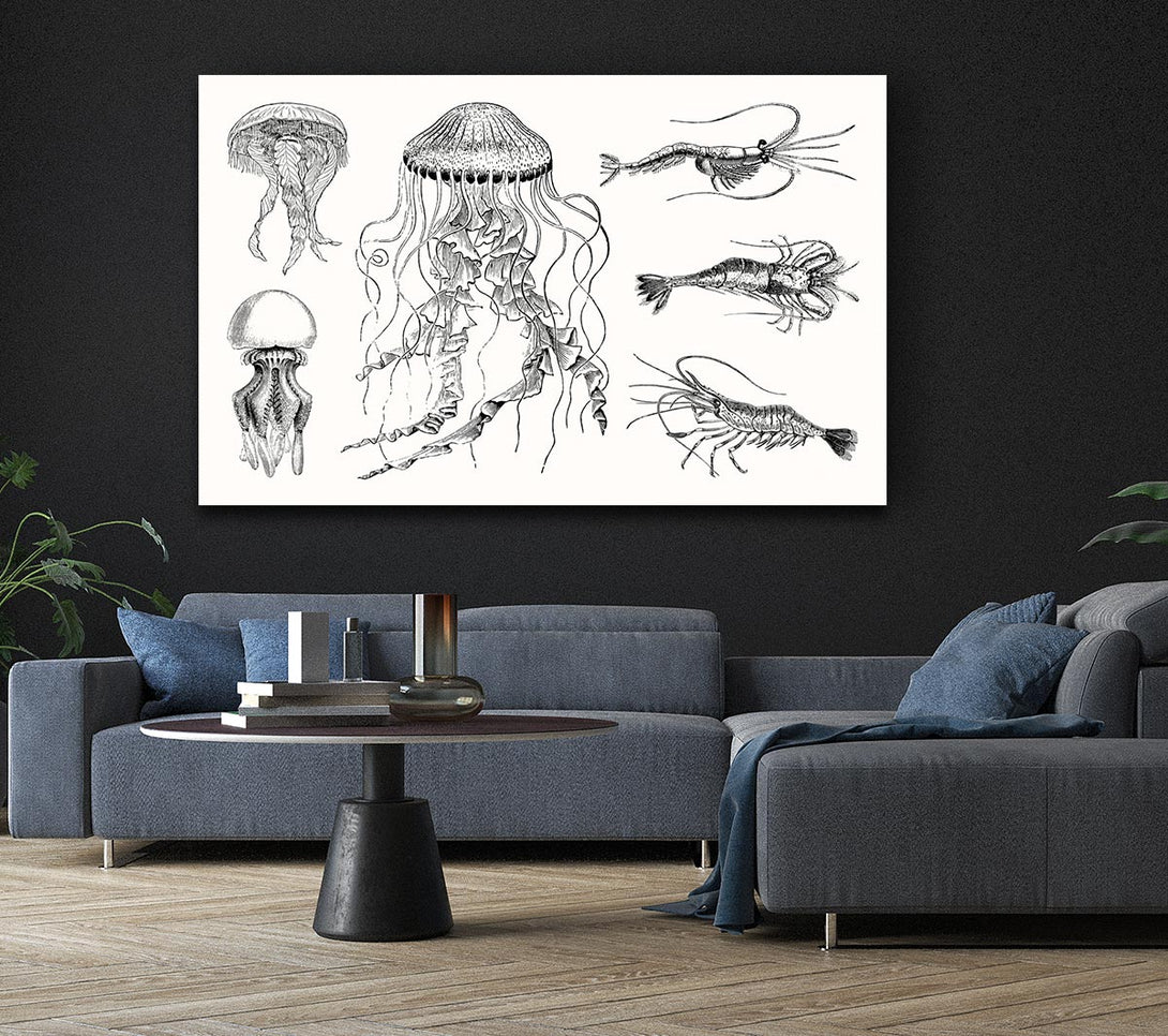 Picture of Jellyfish And Shrimp Canvas Print Wall Art