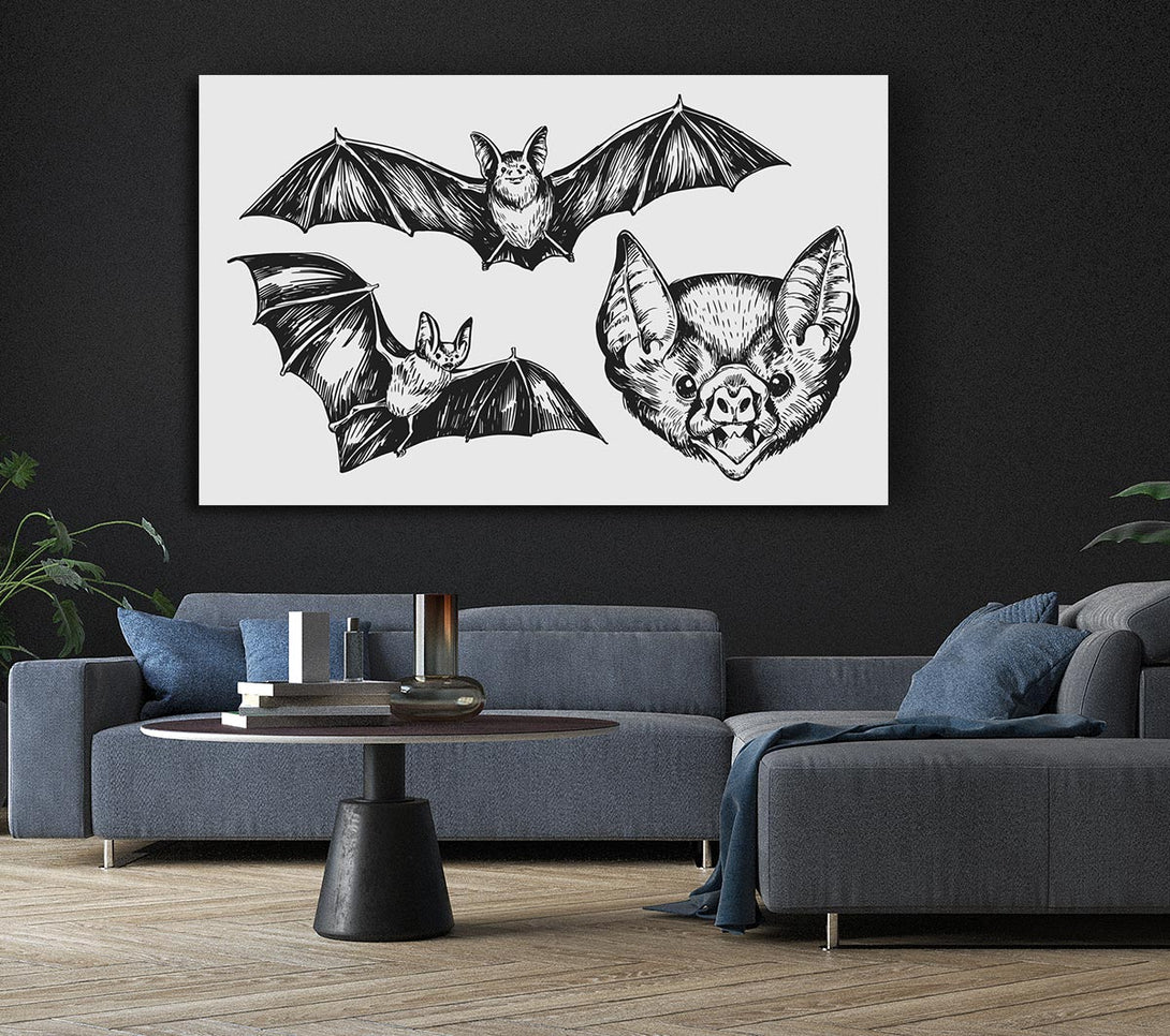 Picture of The Trio Of Bat Illustrations Canvas Print Wall Art