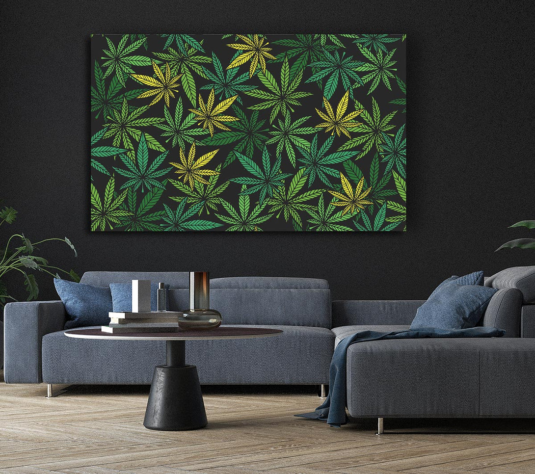 Picture of Cannabis Leaves Canvas Print Wall Art