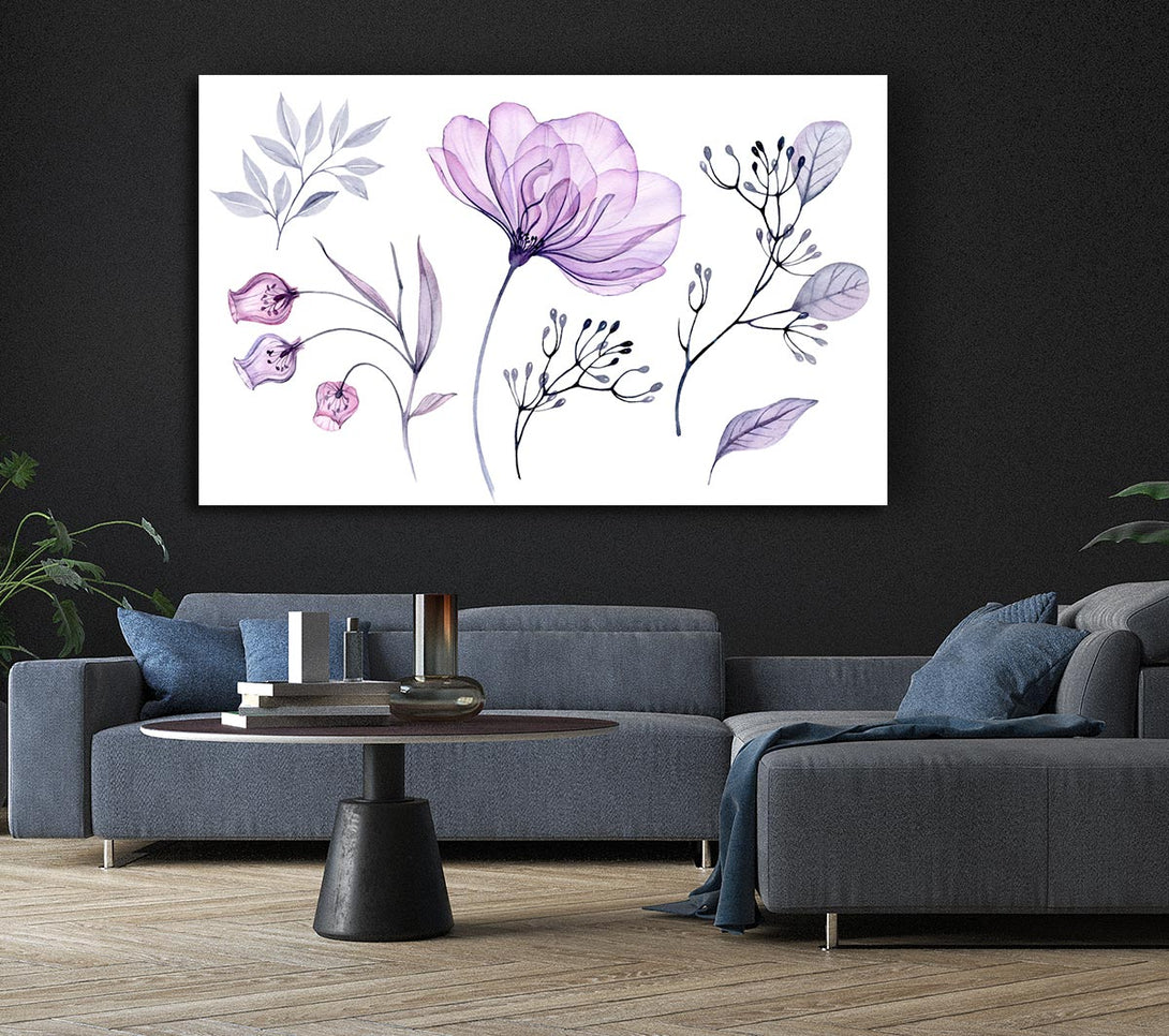 Picture of Small Lilac Crocus Illustration Canvas Print Wall Art