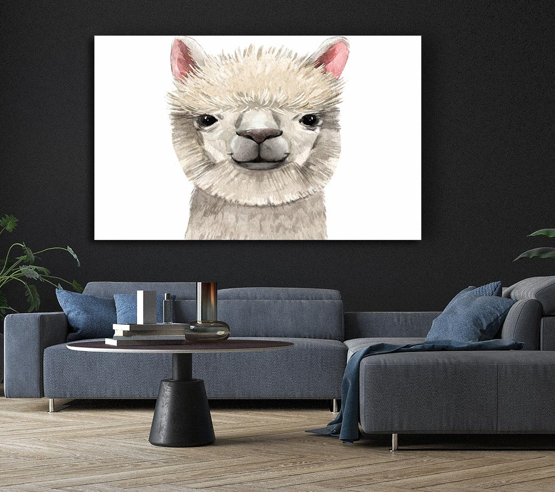 Picture of Llama Drama Canvas Print Wall Art