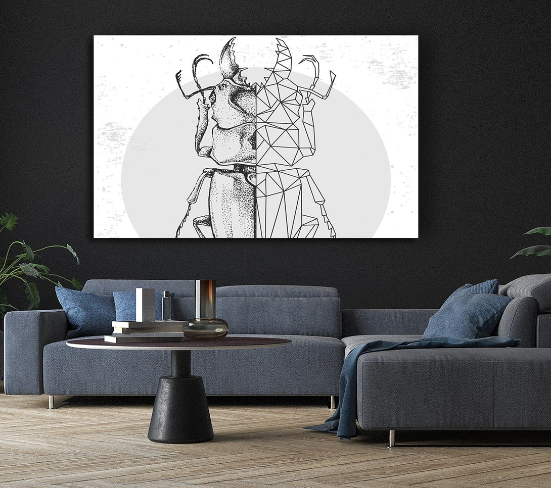 Picture of The Stag Beetle Sketch Canvas Print Wall Art