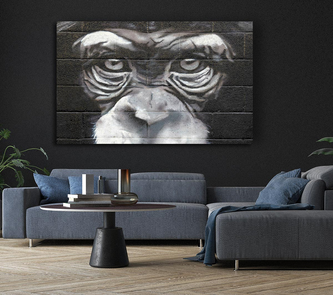 Picture of The Chimp Eyes Canvas Print Wall Art