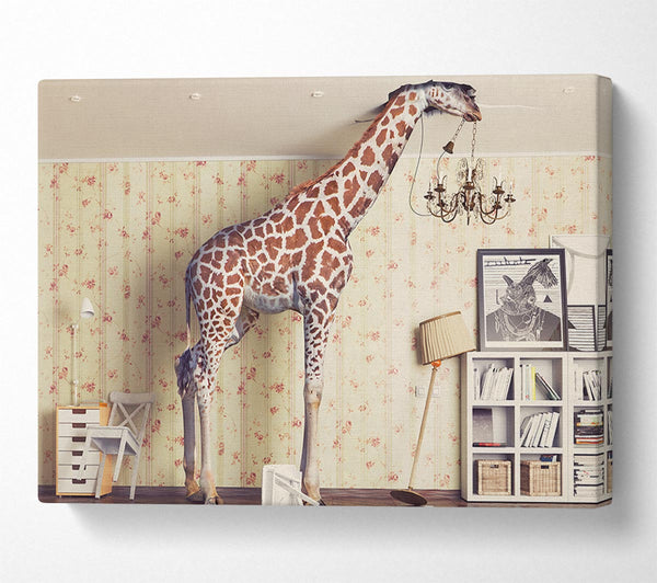 Giraffe im Haus