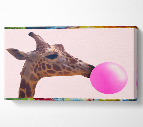 Giraffe Bubblegum