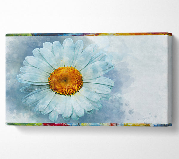 Watercolour Daisy Beauty