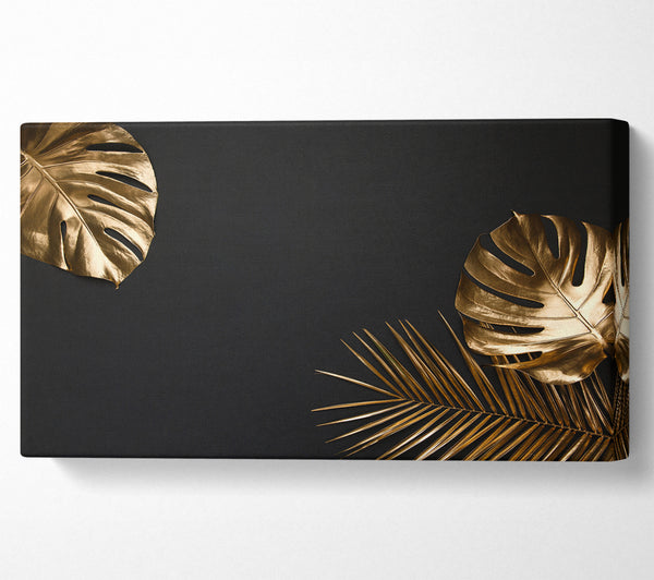 Gold Leaf Palm