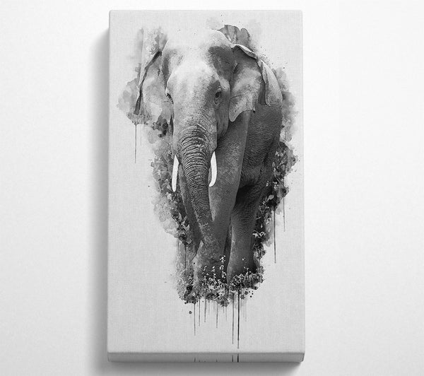 Elephant Splash Watercolour