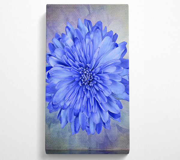 Beautiful Blue Centered Flower