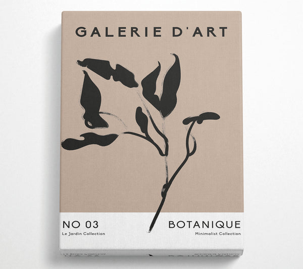 Galerie Collection Plant