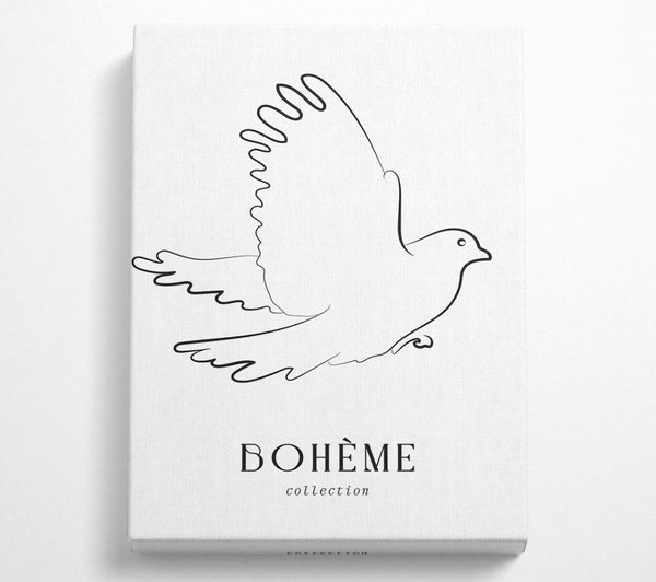 Boheme Dove