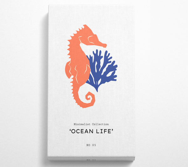 Ocean Life