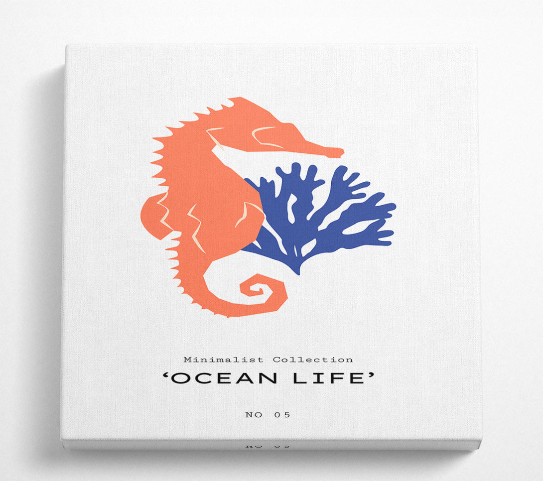 A Square Canvas Print Showing Ocean Life Square Wall Art