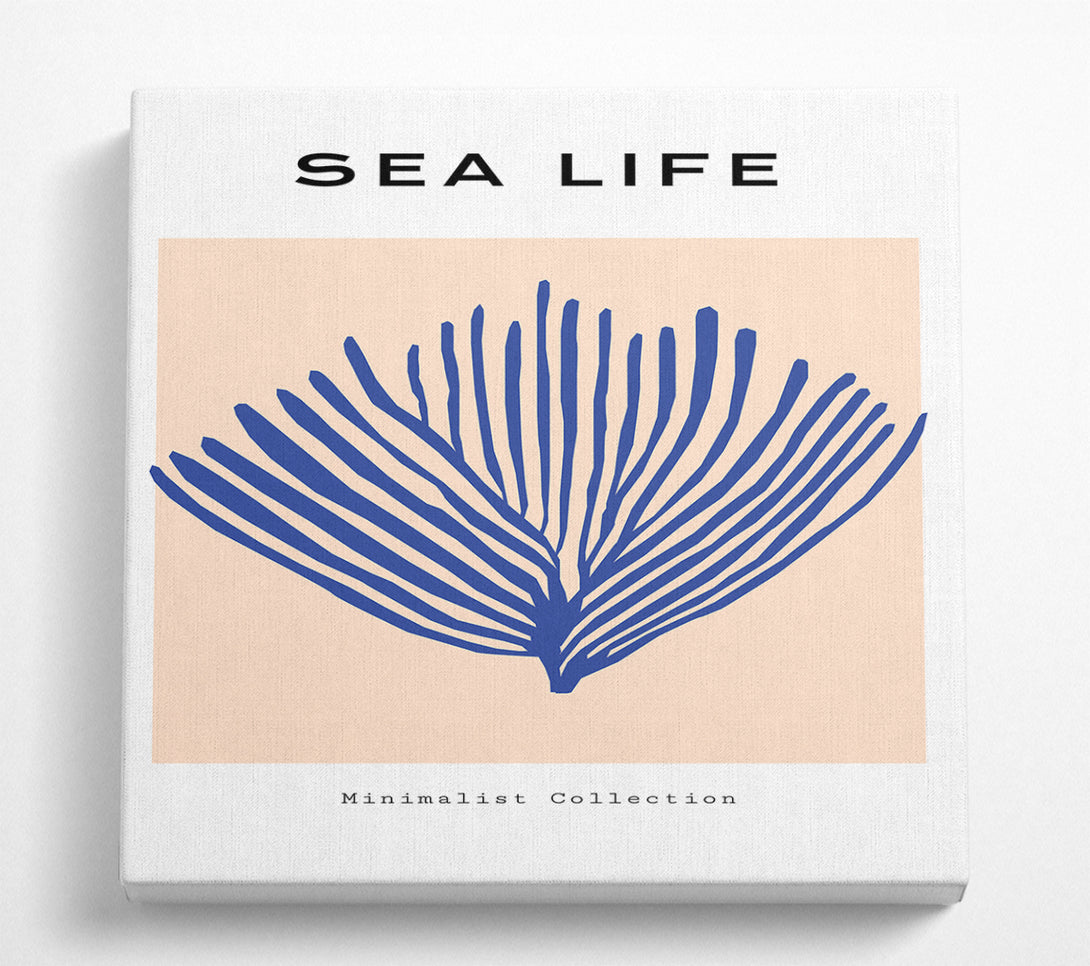 A Square Canvas Print Showing Sea Life Blue Coral Square Wall Art