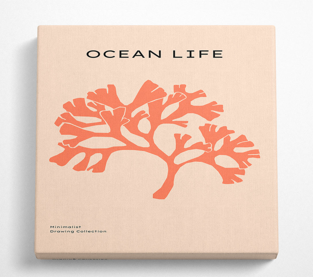 A Square Canvas Print Showing Orange Coral Tree Square Wall Art