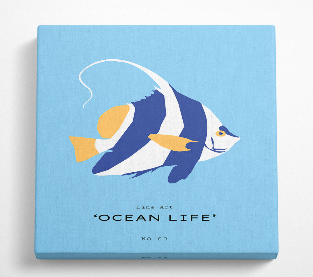 A Square Canvas Print Showing Angel Fish Blue And White Square Wall Art