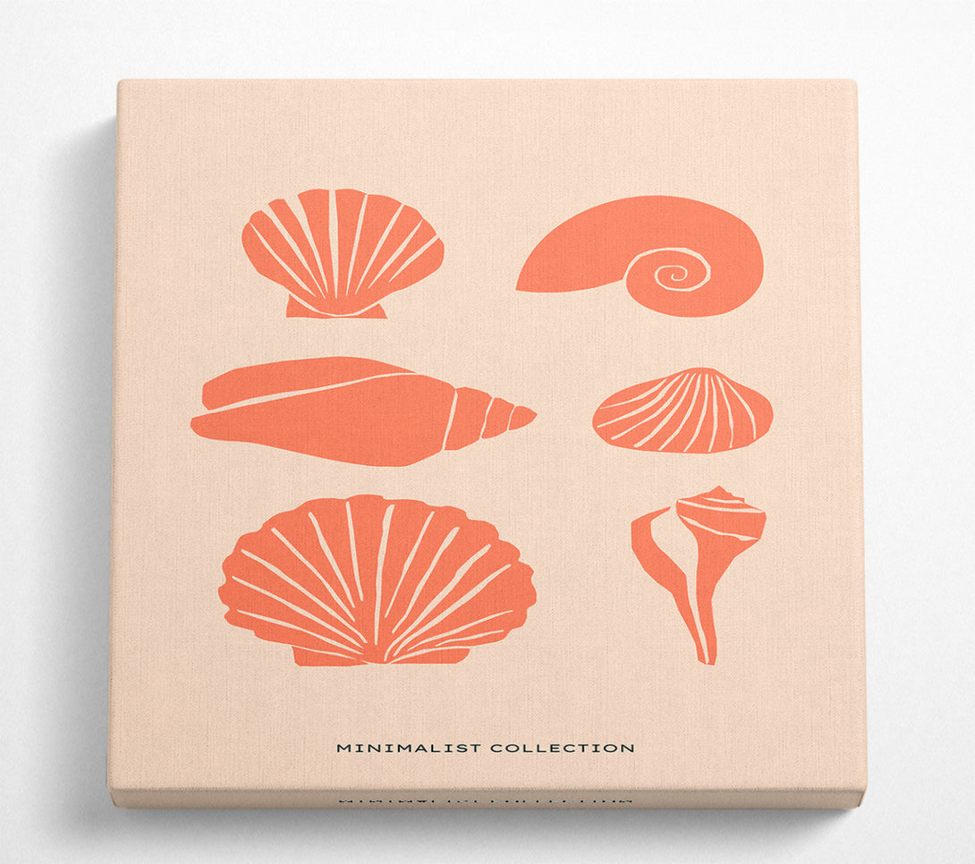 A Square Canvas Print Showing A Shell Collection Square Wall Art