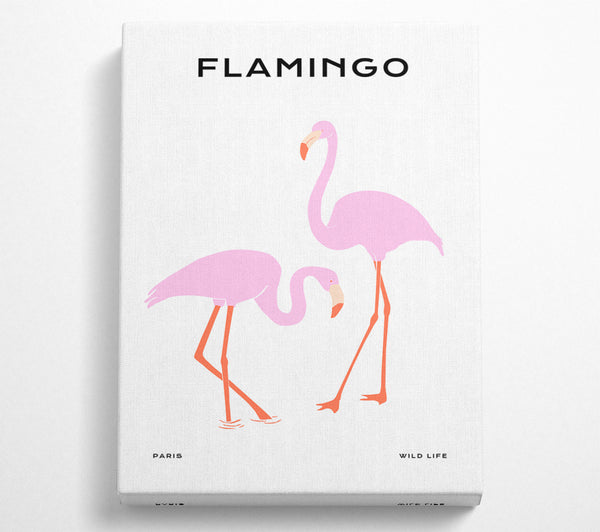 Pink Flamingo