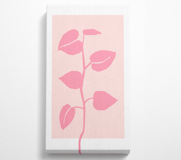 Simple Pink Plant