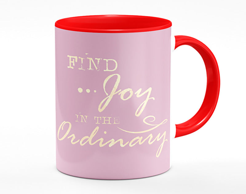 Find Joy In The Ordinary Mug