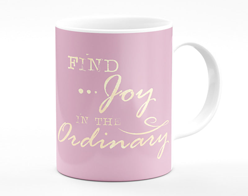 Find Joy In The Ordinary Mug